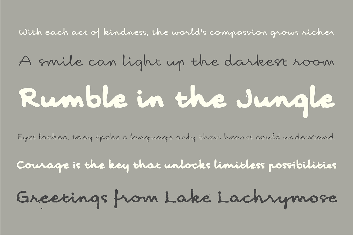 Stanley Hollister - Premium Bundle, a Handwritten Font by Punch (Photo 3 of 8)