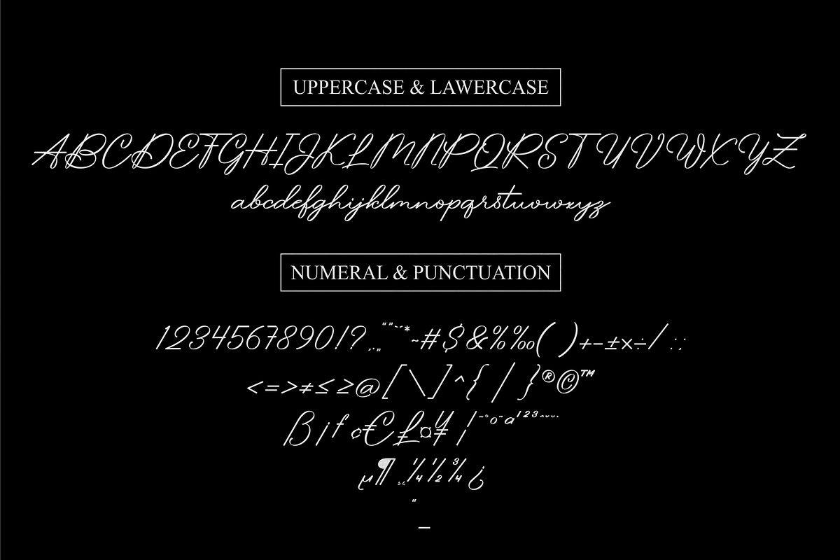 Pitaloka Stylish Signature Font, a Script Font by Naufal Labs (Photo 9 of 10)