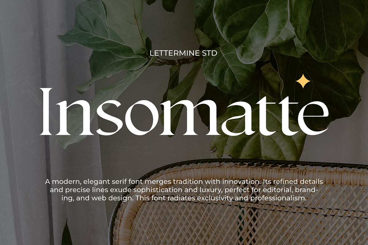 Insomatte - Modern Serif, a Serif Font by Lettermine (Photo 1 of 10)