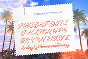 Palmone Bold Calligraphy, a Script Font by Letterena Studios Script (Thumbnail 5 of 15)