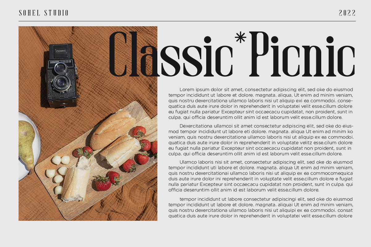 Mitten - Movie Title Font, a Serif Font by Sohel Studio (Photo 6 of 12)