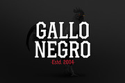 Gandul Clean, a Serif Font by YockMercado (Thumbnail 2 of 7)