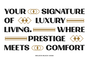 Boldvia Black - Modern Sans Serif, a Sans Serif Font by Brand_Hero (Thumbnail 2 of 14)