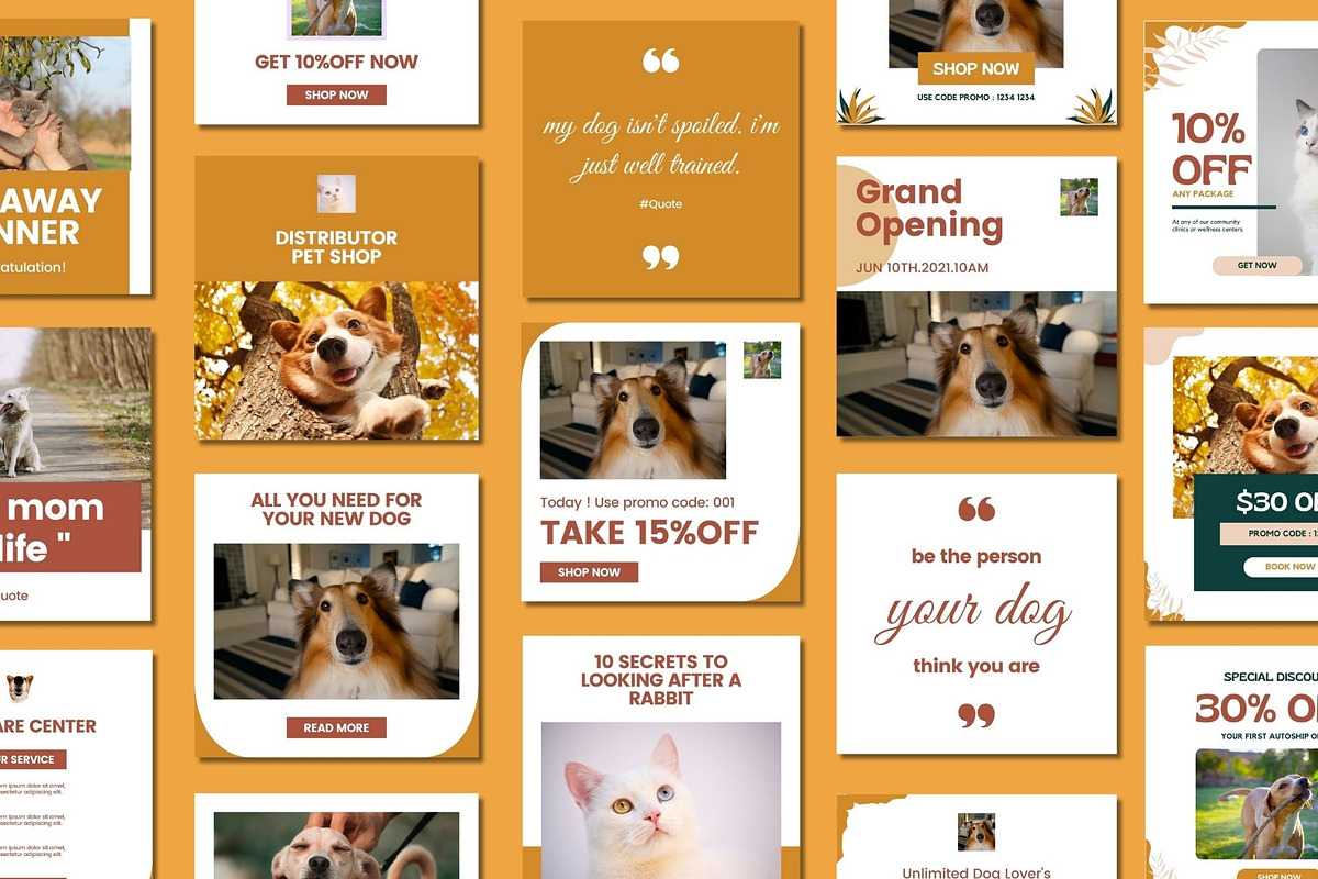 Pet Shop Social Media Post Canva, a Social Media Template by BoontenStudio (Photo 3 of 7)
