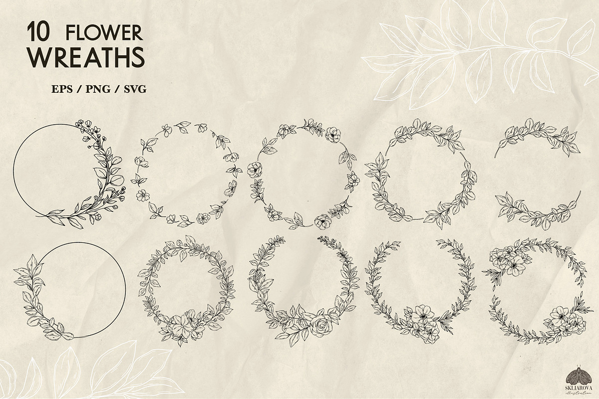 Botany Line Art Collection, a Decorative Illustration by Skliarova (Photo 8 of 10)