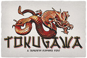 Tokugawa, a Symbol Font by VozzyStock (Thumbnail 1 of 14)