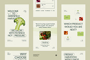 Groceries Instagram Template Pack, a Social Media Template by fakhroo (Thumbnail 2 of 5)