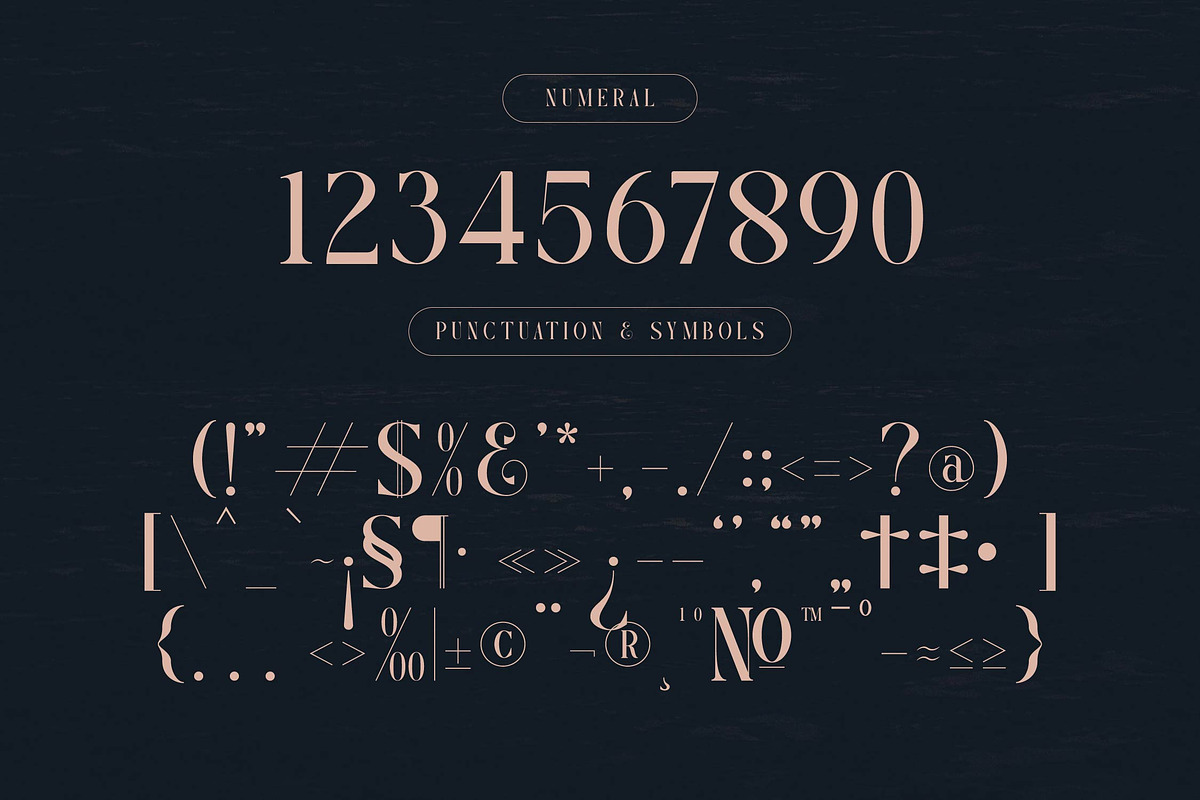 Rasmien | Elegant Serif Font, a Serif Font by Denustudios (Photo 11 of 13)