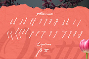 Qistty - Casual Display Font, a Font by Saxofont (Thumbnail 8 of 8)