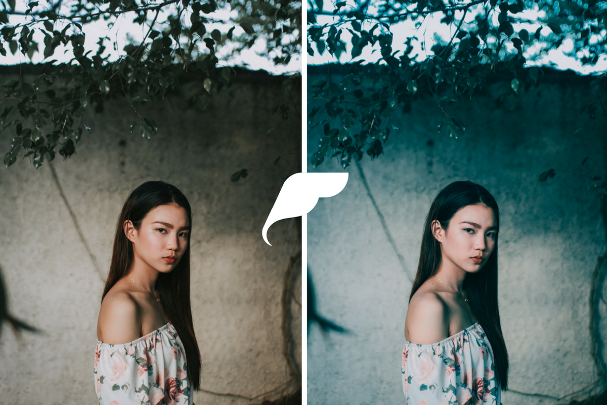 25 Film Tone Lightroom Presets I preview 3
