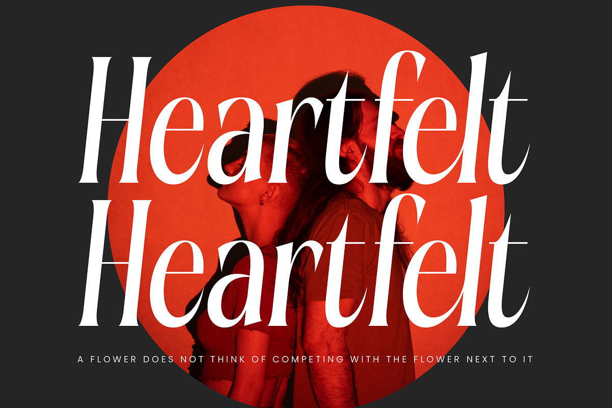 Aligner Tall Modern Serif Display, a Serif Font by timelesstype.co (Photo 7 of 20)