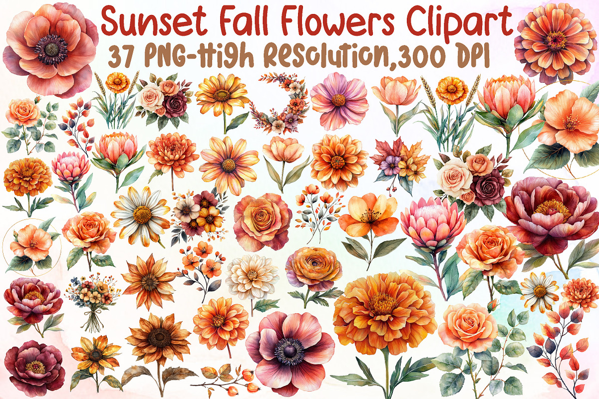 Sunset Fall Flowers Clipart Collecti, an Illustration by Sublimation Artist (Photo 1 of 6)