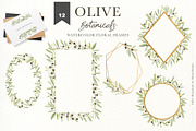 OLIVE BOTANICALS Watercolor & Line, a Work Illustration by Momo Studio (Thumbnail 9 of 15)