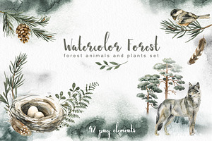 Watercolor forest Animals and Plants