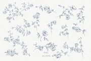 Sketched roses clipart collection, a Decorative Illustration by Sensual Art (Thumbnail 3 of 8)