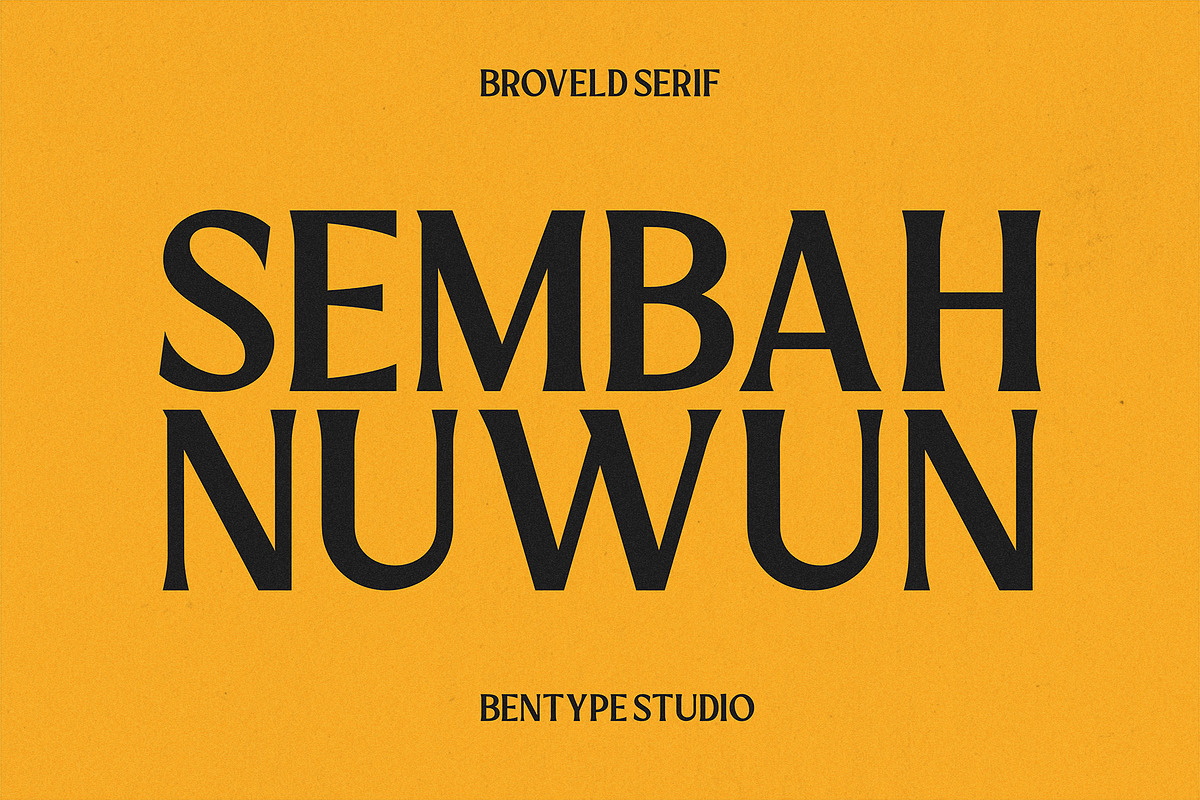 Broveld Serif – Editorial Serif, a Serif Font by Bentype Studio (Photo 7 of 7)