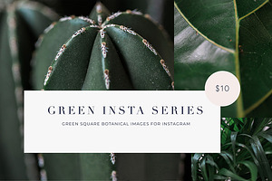 15 Green plant Insta photos