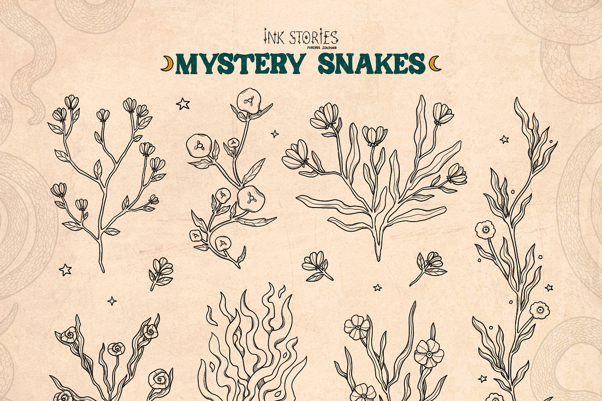 Mystery Snakes, an Animal Illustration by Ink Stories (Photo 20 of 31)
