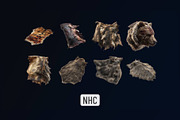NHC – Leather Animal Trophies, an Animal Illustration by New Horizon Creators (Thumbnail 6 of 6)