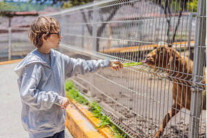 Young boy feeding a goat on a farm, a Nature Photo by Elizaveta Galitskaya
