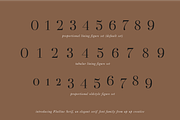 Flatline Serif Complete - 16 fonts, a Serif Font by Up Up Creative (Thumbnail 8 of 13)
