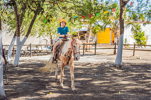 Child rides a palomino horse in an, a Person Photo by Elizaveta Galitskaya