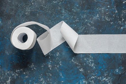 Toilet paper roll featuring paper, toilet, and roll