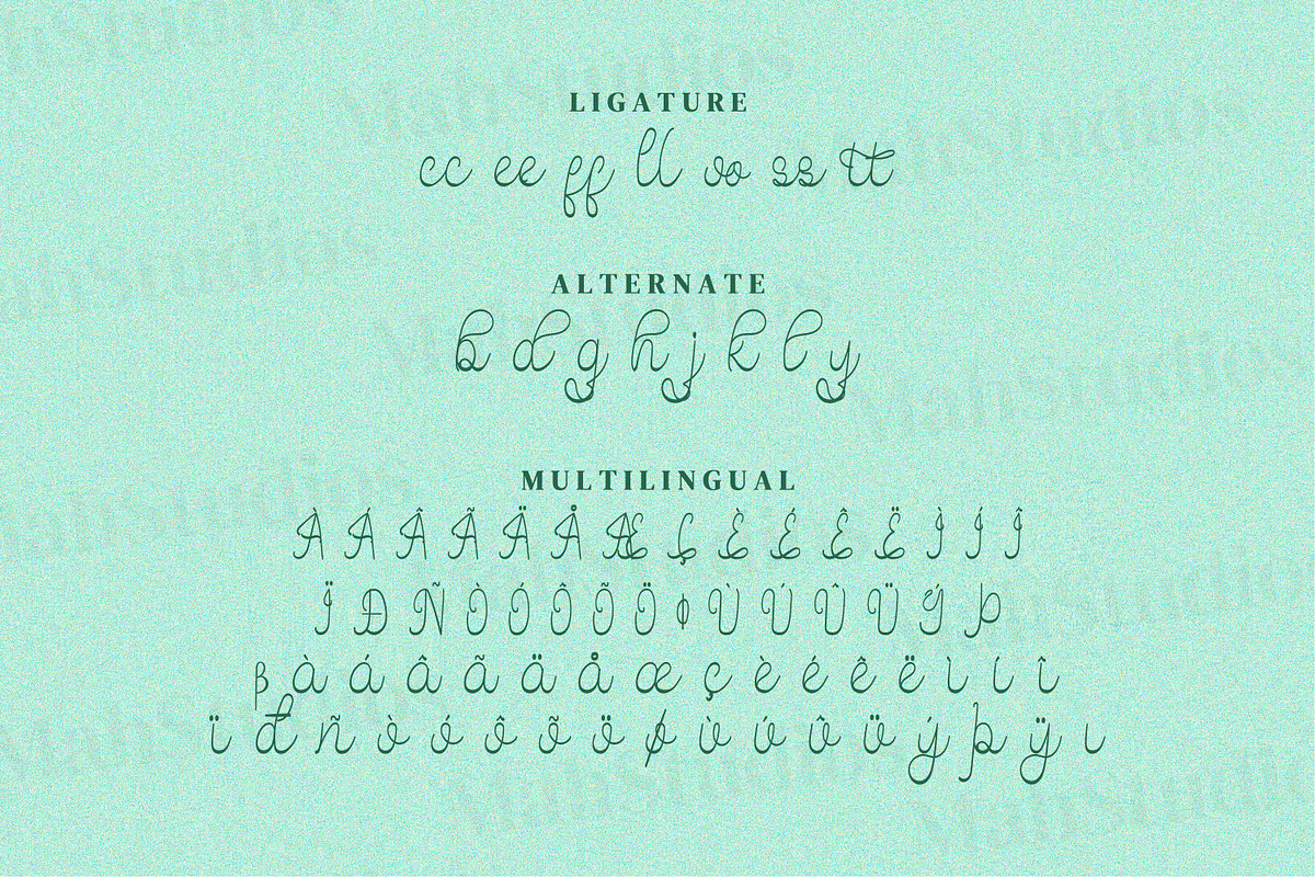 Emalina Scipt Fonts, a Script Font by mahstudios (Photo 14 of 15)