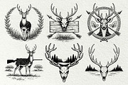 Axis Deer Wildlife Graphics, an Animal Illustration by DENIDigitalArtSudio (Thumbnail 6 of 8)