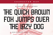 Milknolri A New Display Font, a Serif Font by Storytype Studio (Thumbnail 6 of 15)