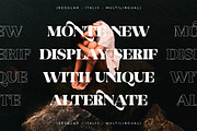 Monte Display Serif Font, a Serif Font by Storytype Studio (Thumbnail 5 of 15)