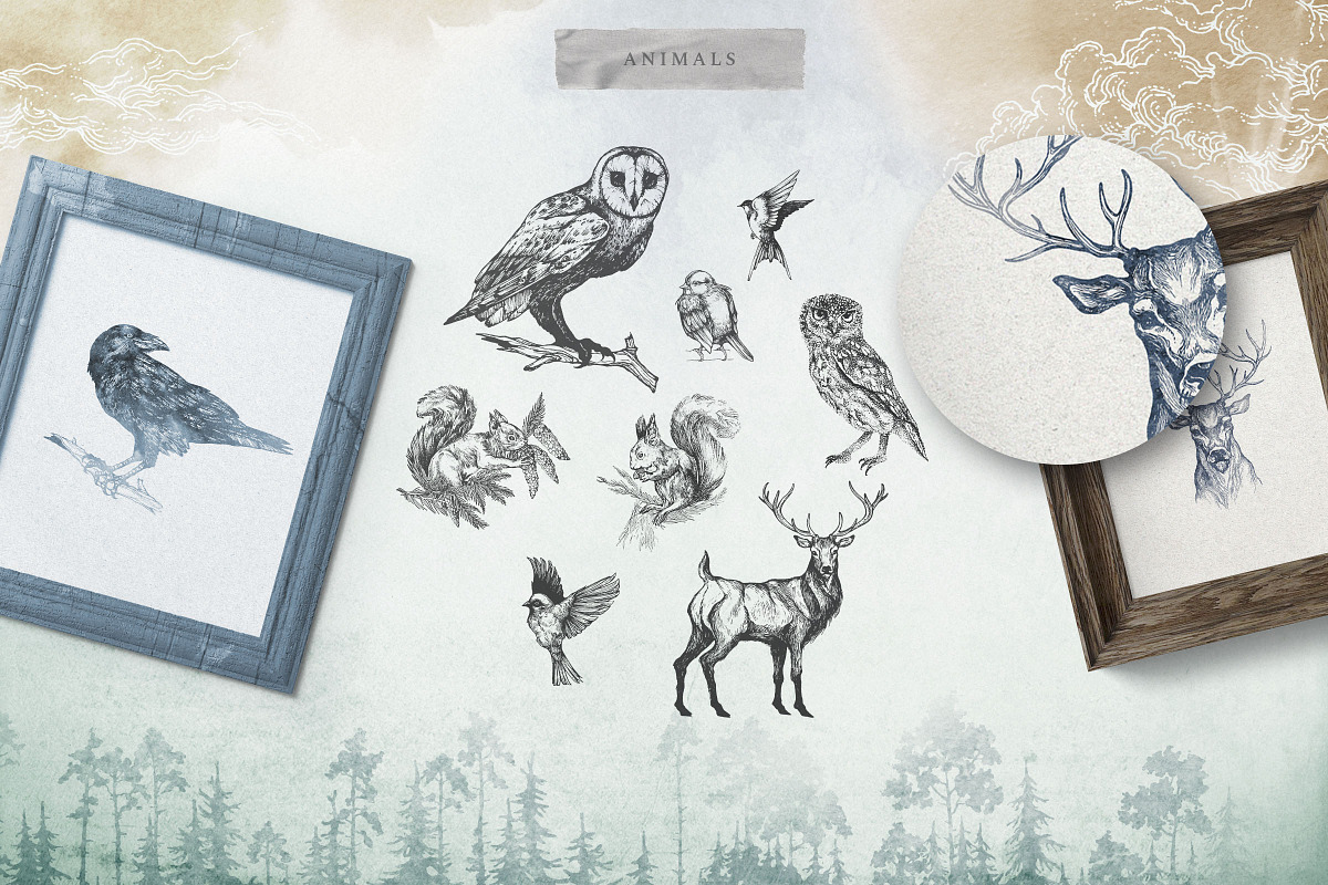 Misty Forest Collection, an Animal Illustration by Michael Rayback Design (Photo 2 of 7)