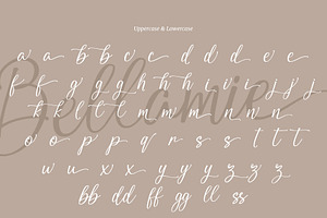 Bellamie - Modern Calligraphy Font