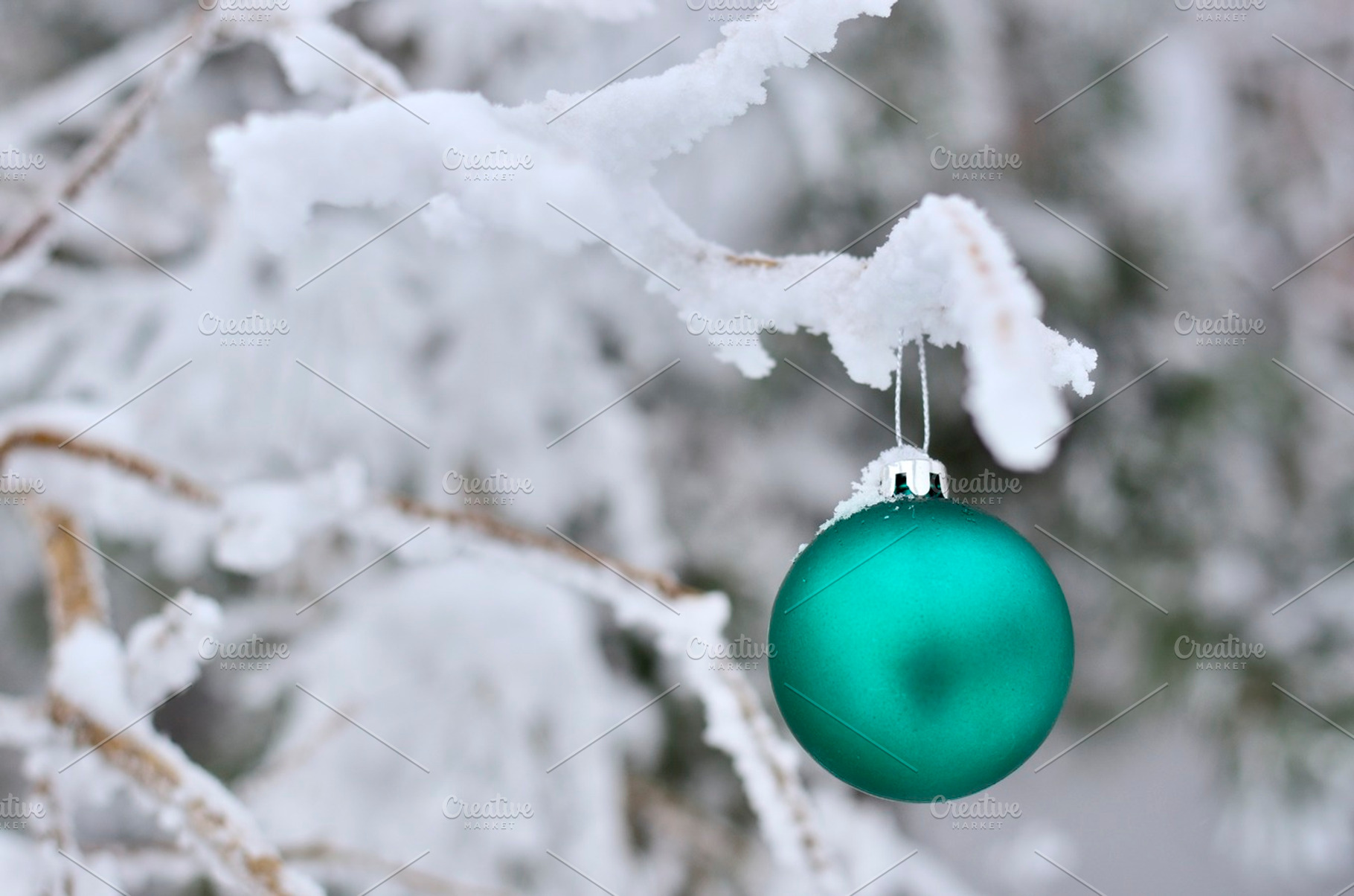 Christmas green and white, a Holiday Photo by jcfmorata - Photography