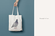 Pigeon Illustration – Hand Drawn PNG, an Animal Illustration by LaurenFittonIllustration (Thumbnail 6 of 8)