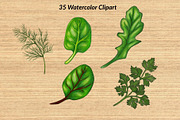 Watercolor Vegetables, a Food Illustration by Elatedowl (Thumbnail 8 of 17)