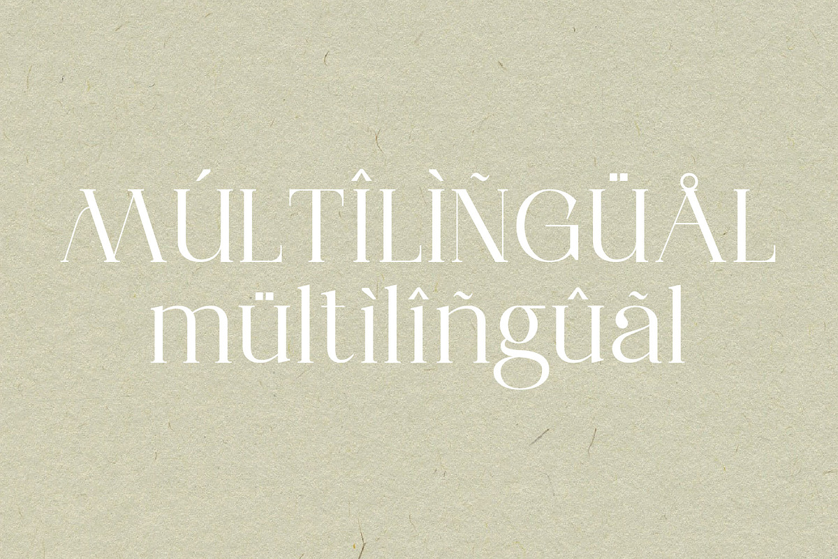 Mallorga A Modern Serif Font, a Serif Font by rmdndsign (Photo 8 of 8)