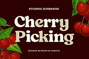Tomato Ketchup Retro Serif Font, a Serif Font by Fenotype (Thumbnail 9 of 14)