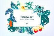 Set of tropical leaves, an Illustration by picsome.ca (Thumbnail 1 of 2)