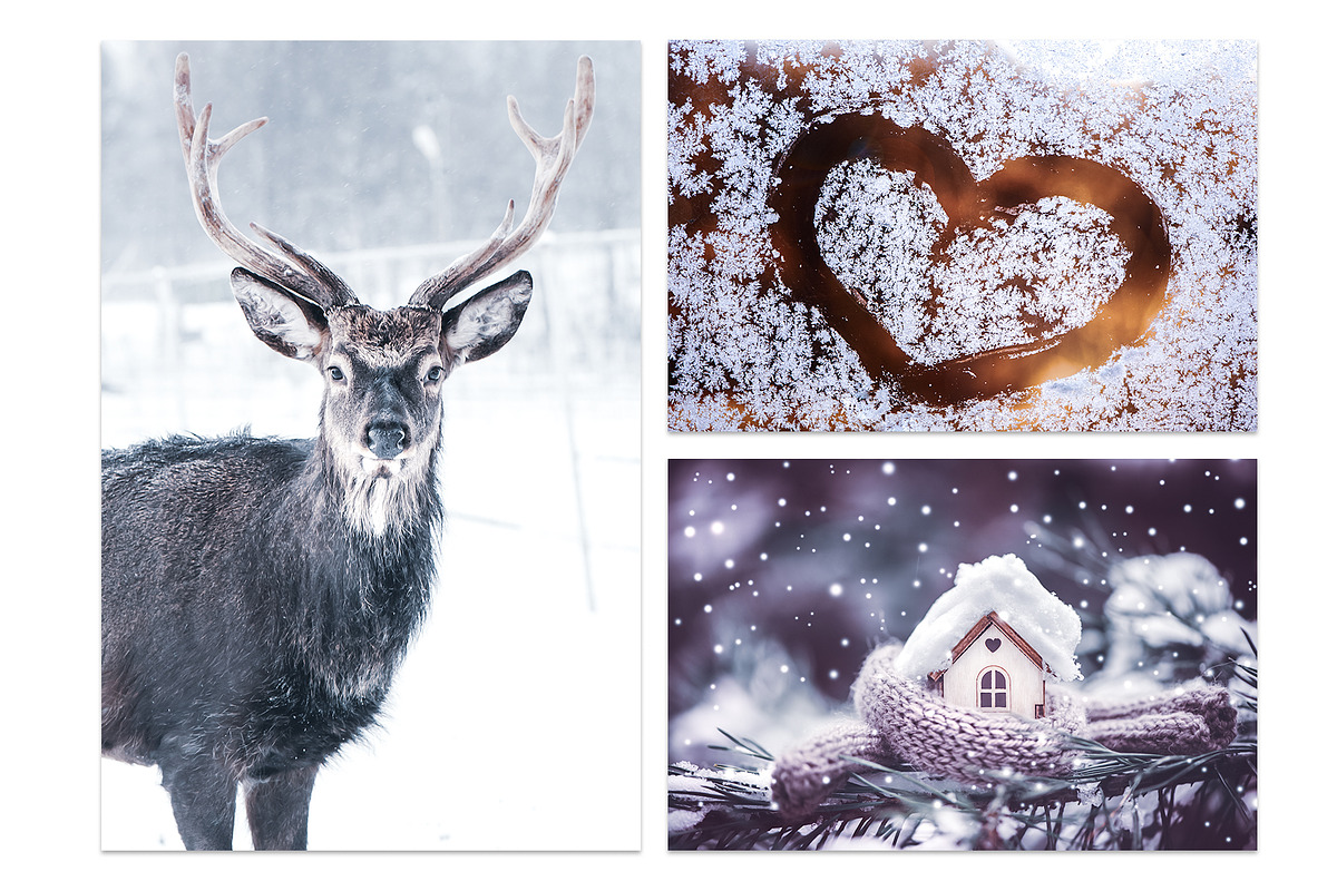 Winter Bundle - 24 jpg, a Background Photo by WildStrawberry Magic (Photo 8 of 8)