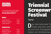 Gardenia Typeface 85%OFF, a Font by W Type Foundry (Thumbnail 12 of 14)