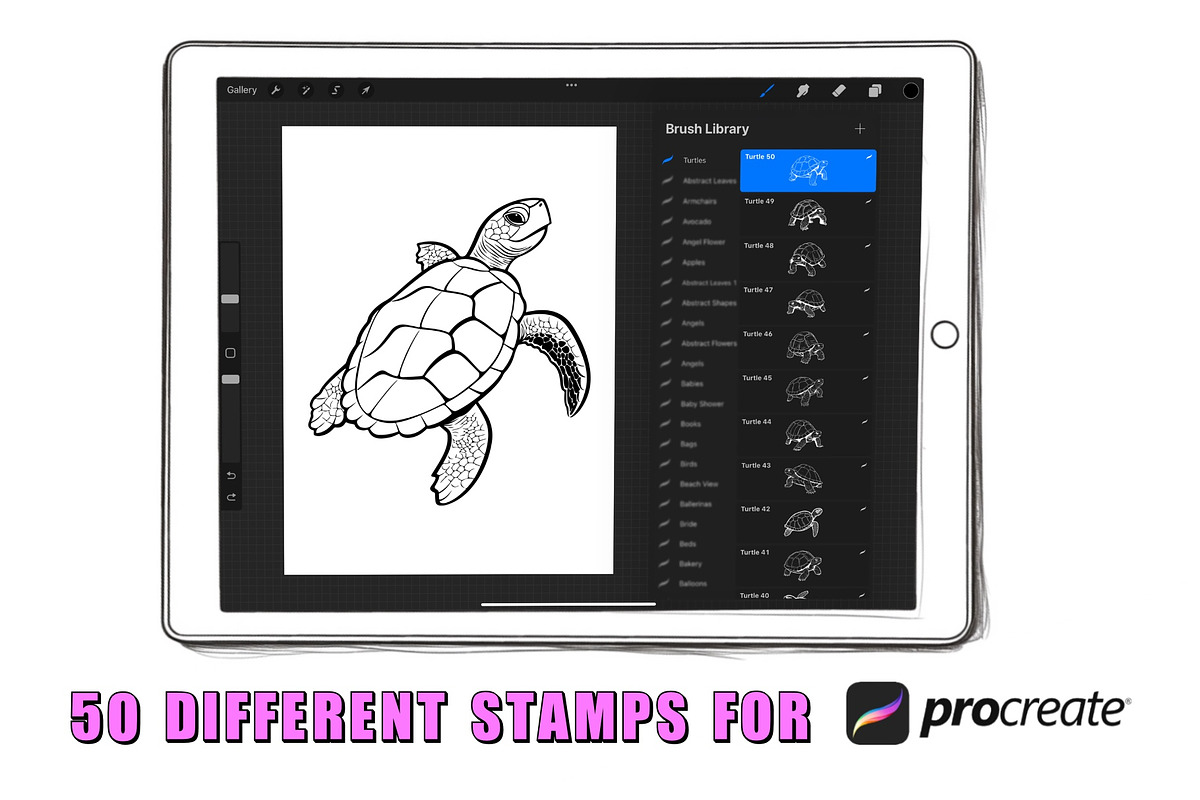 50 Turtles Procreate Stamps Brushes, a Brush Add-On by Procreate Sale (Photo 2 of 6)