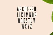 Galvin Slab Serif Font Family Pack, a Handwritten Font by Creativetacos (Thumbnail 3 of 5)