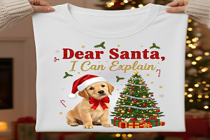 Dear Santa I Can Explain PNG