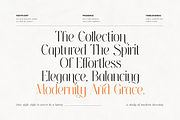 Thereon - Modern Romantic Serif Font, a Serif Font by VP Fonts (Thumbnail 3 of 21)