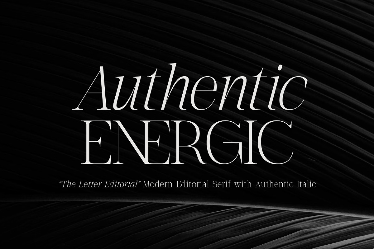 The Letter Editorial – Modern Serif, a Serif Font by Lettertype Studio (Photo 3 of 16)