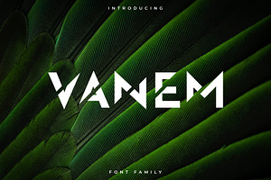 Vanem Font Family – Display Font