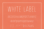 White Label, a Font by Ekloff (Thumbnail 1 of 4)