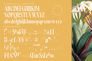 Qastife Elegant Display Serif, a Serif Font by timelesstype.co (Thumbnail 18 of 20)