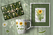 Sunflowers Watercolor Collection, an Illustration by Anna Druzhkova (Thumbnail 13 of 17)